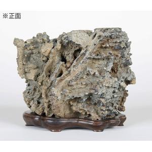 水石：泉州石 ツボ石 現品*資材 せんしゅう : 遊恵盆栽 Yahoo!店