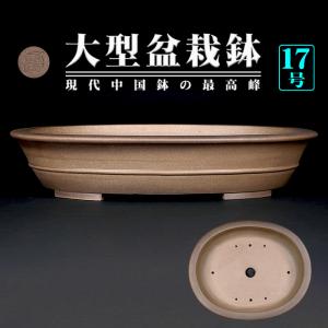 盆栽鉢 紫泥外縁下紐楕円鉢 植木鉢 中国鉢 張氏製陶 落款あり 17号