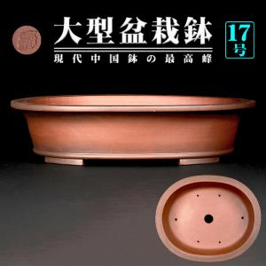 盆栽鉢 紫泥外縁上帯楕円鉢 植木鉢 中国鉢 張氏製陶 落款あり 15号