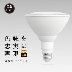 Panasonic（パナソニック） ハイビーム電球 散光形（フラッド