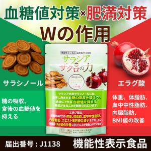 ターミナリア ダブル 120粒 協和食研 ダイエット お腹の脂肪 ［機能性