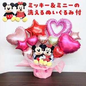 Disney（ディズニー） 東京ディズニーランド 31周年記念 ミッキー