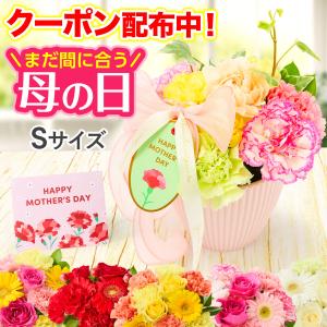 クリスマスローズ 吉田園芸 アンティークピエラ 0218-040 現品販売