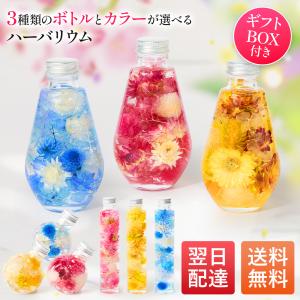 固まるオイル＆作り方用紙付き＞ アクリル 3WAY ミニカップ キット 【2