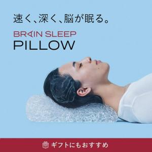 ブレインスリープ ＼カバー2枚付き／ 枕 ピロー まくら 洗える 肩こり