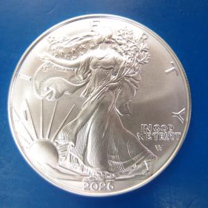 2026年】カンガルー1オンス銀貨 新品未使用 純銀 ケース入り : Gold