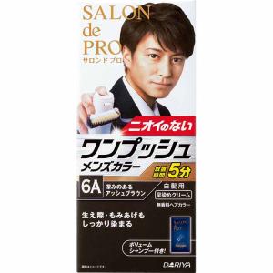 医薬部外品】サロンドプロ ワンプッシュメンズカラー 6 ダークブラウン