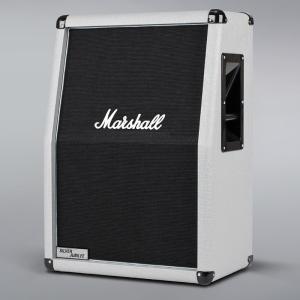 Ampeg SVT-810E 800w ベースキャビネット〈アンペグ〉 : 楽器de元気