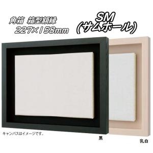 角箱 F6号 410×318mm 箱型額縁 油絵額縁 油彩額縁 油絵額 油彩額 油絵