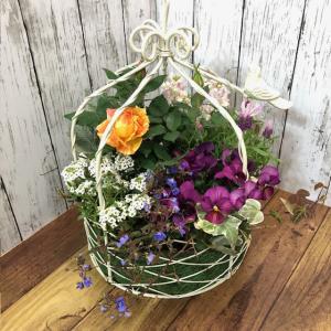 初夏の寄せ植え ワイヤーリース 誕生日プレゼント 初夏の花 夏の花