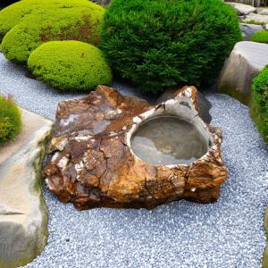 つくばい 手水鉢 水鉢 大きい 木化石 珪化木 巨大 特大 大型 豪華 庭石