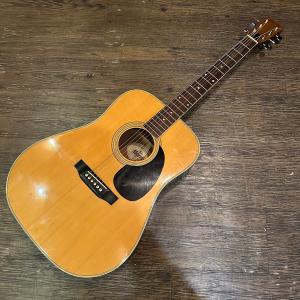 Morris Morris MD-502 Acoustic Guitar アコースティックギター