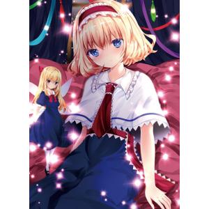 東方クリアファイル 魂魄妖夢5 -AbsoluteZero- : グレップ ヤフー店