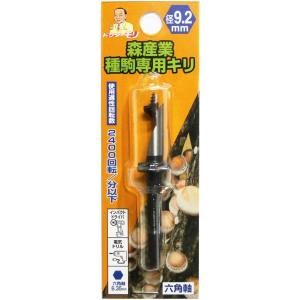メタセコイア（アケボノスギ） 種子50粒 Dawn redwood 50 seeds : H.I.
