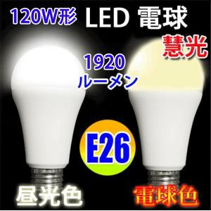 慧光（エコウ） LED電球 E26 60W相当 900LM 消費10W LED 昼光色/昼白色