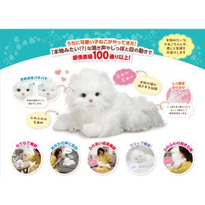 セガトイズ 夢ねこプレミアム ねこペットロボット ぬいぐるみ : East