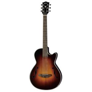 K.Yairi Electric Acoustic Series YD-88BK : ロッキンダディ - 通販