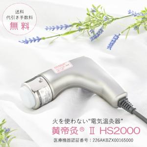 ユーフォリア・Q用 ビワの葉エキスもぐさ入りカセット（120個入