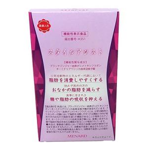 MENARD（メナード） スタイルアシスト 27g （300mg×45粒×2袋） 健康