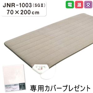 西川（nishikawa） JNR-1004 京都西川 ローズテクニ ー 100×200 家庭用