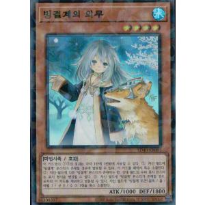 コナミデジタルエンタテインメント 韓国版 遊戯王 氷結界の龍