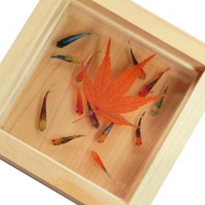 金魚アート インテリア オブジェ アート 桜 プリザーブドフラワー 本物