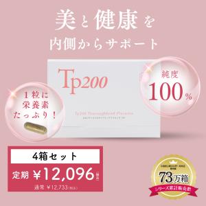 BALANCE工房 バランス工房 二代目楽座衛門 二つ折り可能な座布団タイプ