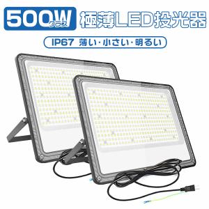 岩崎電気 送料無料 岩崎 ECF22101/VWSAN8 (ECF22101VWSAN8 ) LED投光器