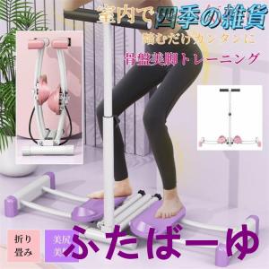 ショップジャパン（Shop Japan） 美脚エクササイズマシン レッグ