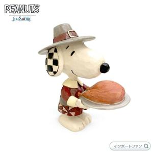 ジムショア スヌーピーとウッドストックとチャーリーとサリーと