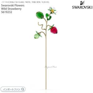 SWAROVSKI（スワロフスキー） ガーデンテイルズ コレクション