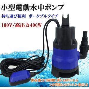 テラダ 水中ポンプ 小型 100V 汚水 排水ポンプ 家庭用 SP-220 2インチ