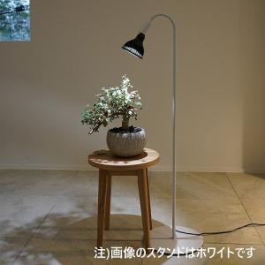 BARREL公式 フレキシブルアームライトスタンド ホワイト 高さ調節機能