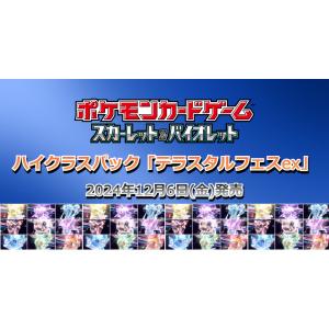 ポケモンカードゲーム 【シュリンクなし】 テラスタルフェスex BOX