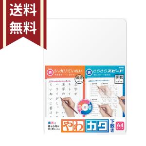 SONIC＜ソニック＞ やわカタ下敷き SK-4081-T B5 透明 [M便 1/10