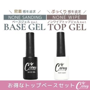 リーフジェル プレミアム LEAFGEL PREMIUM サンディングフリー+ 4g