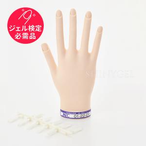 JNEC認定 STモデルハンド 右手 チップ差込式(ネイルチップ付き)/ハンド