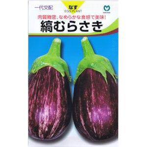 丸種 ナス 縞むらさき 約9粒 【郵送対応】 : 日光種苗ヤフー店 - 通販