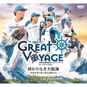 BBM 2017 2nd 稲村亜美(シークレット) FP05 始球式カード : トレカ