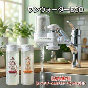 フリーサイエンス 正規代理店 プラチナ ワンウォーター(本体）飲食店