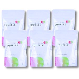 エクエル 120粒入 3個セット パウチ エクオール 大塚製薬 EQUELLE