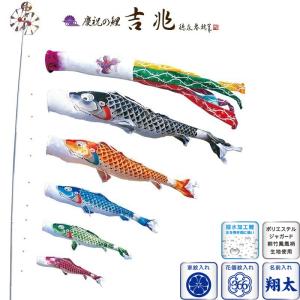 鯉のぼり 岡本太郎鯉のぼり 岡本太郎ミュージアム限定品 大型鯉庭園用