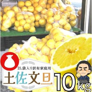 土佐文旦20kg L2Lサイズ 高知産 文旦ぶんたん訳ありブンタン