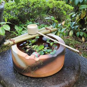 信楽焼 つくばい 竹付つくばい 金魚鉢 メダカ鉢 陶器 ツクバイ 蹲 手