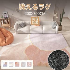 ラグ 長方形 3畳 ｜大津毛織 ウォッシャブル シルキータッチカーペット