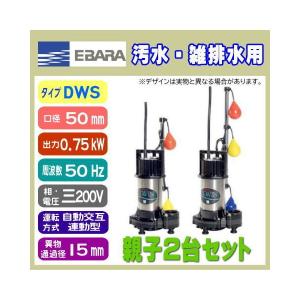 水中ポンプ 荏原製作所 50DWVA 50DWVJ 5.4SB 50Hz 100V 自動交互連動型