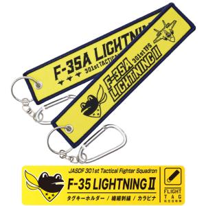 アメリカ海軍 F-14 トムキャット VFA-154 ブラックナイツ タグ