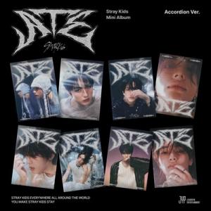 Stray Kids SKZ IT TAPE 'DO IT' (ACCORDION VER.)(8種セット