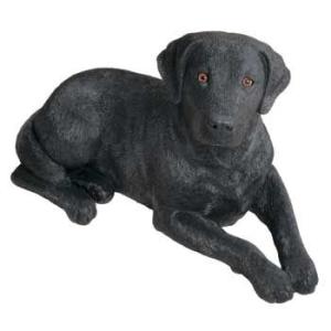 Labrador Retriever（ラブラドールリトリーバー） サンディキャスト