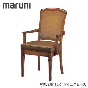 MARUNI マルニ木工 地中海シリーズ レティーロ2 チェア(肘付き) No